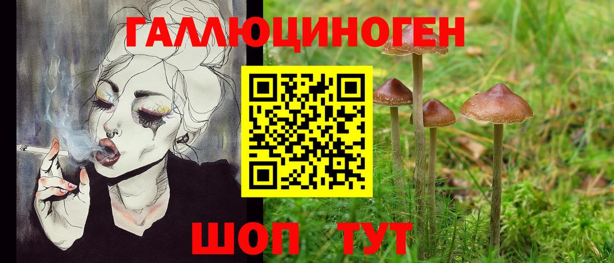 Псилоцибиновые грибы Magic Shrooms Владикавказ