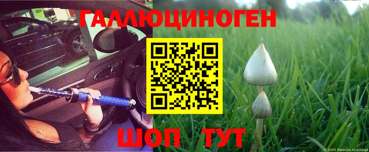 Владикавказ  Галлюциногенные грибы ЛСД  Вход с VPN  Галлюциногенные грибы мухоморы 